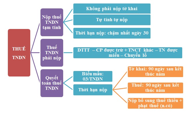 Quy trình kê khai thuế chuyên nghiệp tại Duy Tân Bàu Bàng