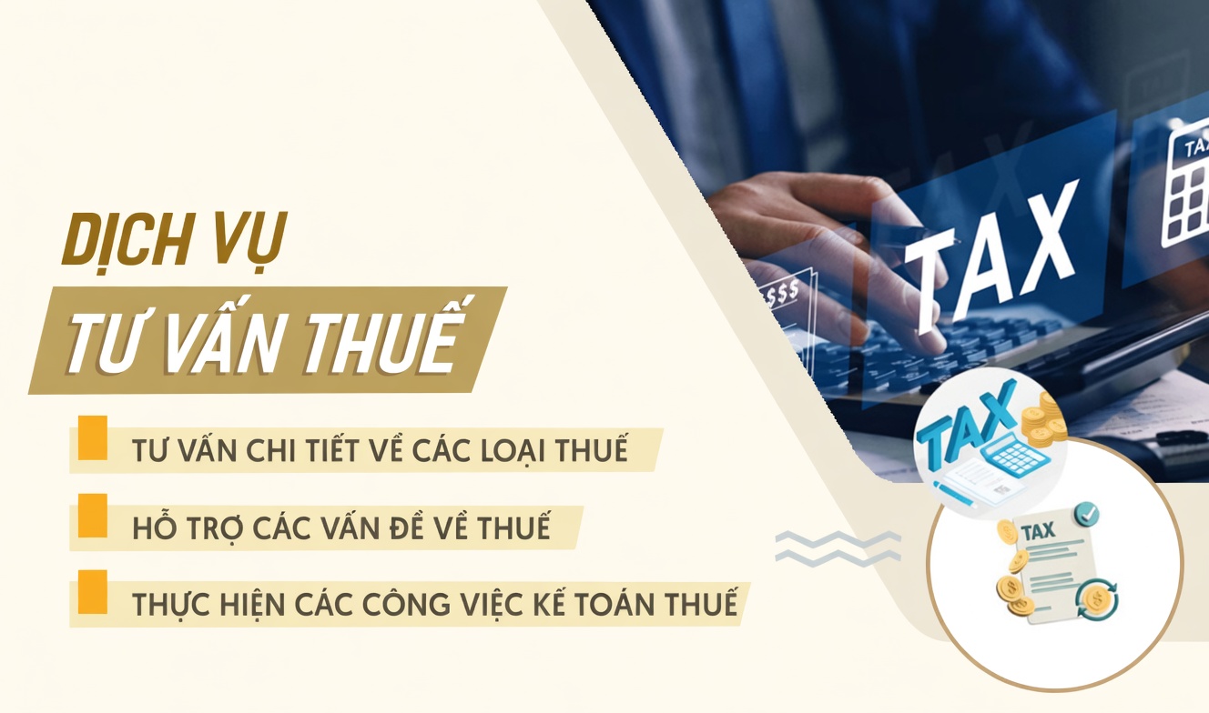 Tư Vấn Thuế Phú Hòa - Tối Ưu Chi Phí Hợp Pháp 7 Đội ngũ chuyên gia tư vấn thuế Duy Tân làm việc tại Phú Hòa